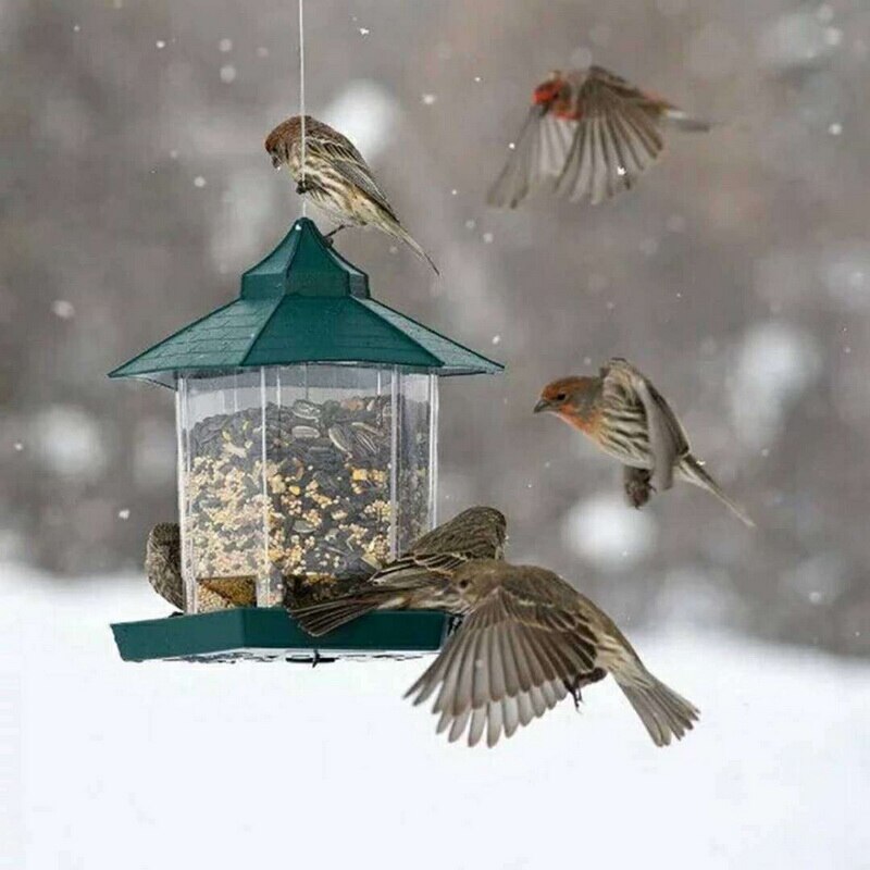 Waterproof Hanging Bird Feeder for Outdoor Balcony