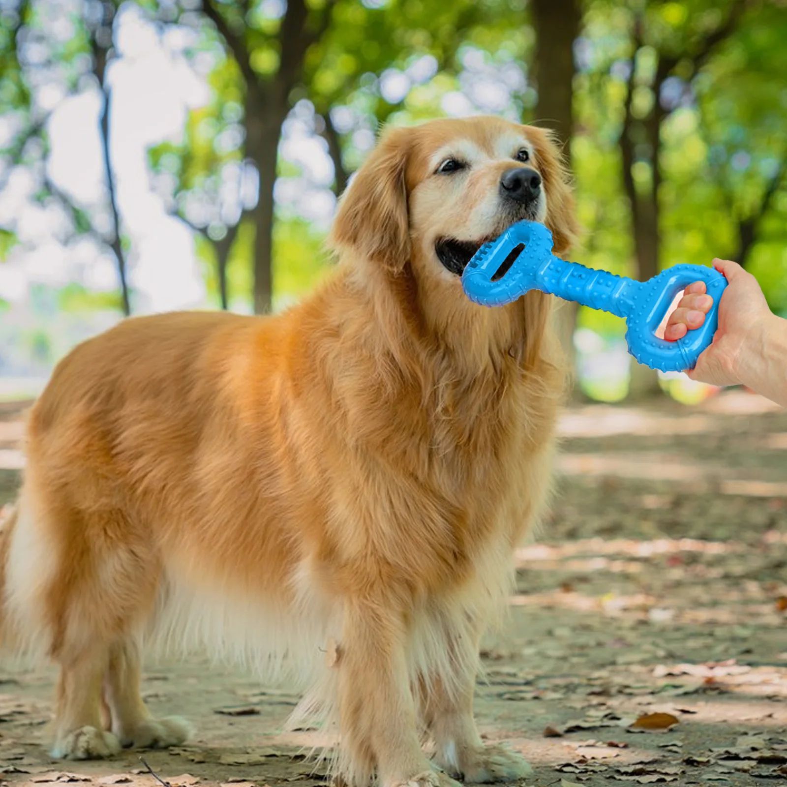 Long-Lasting Interactive Dog Chew Bone for Aggressive Chewers
