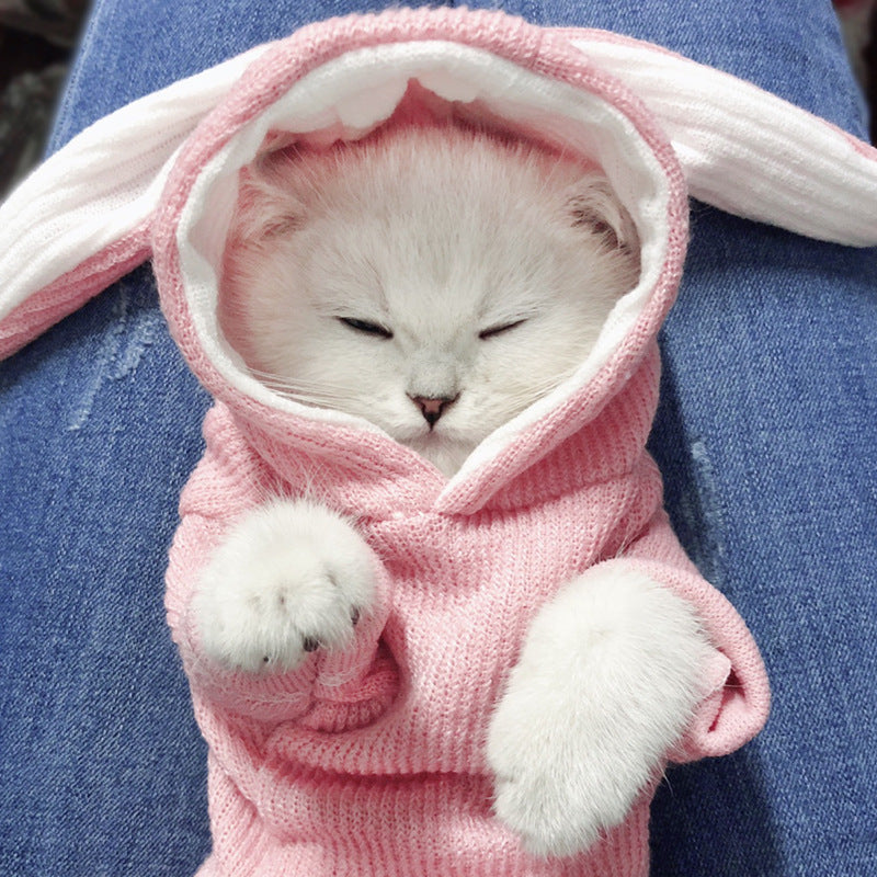 Cute Rabbit Pet Teddy Dog Clothes