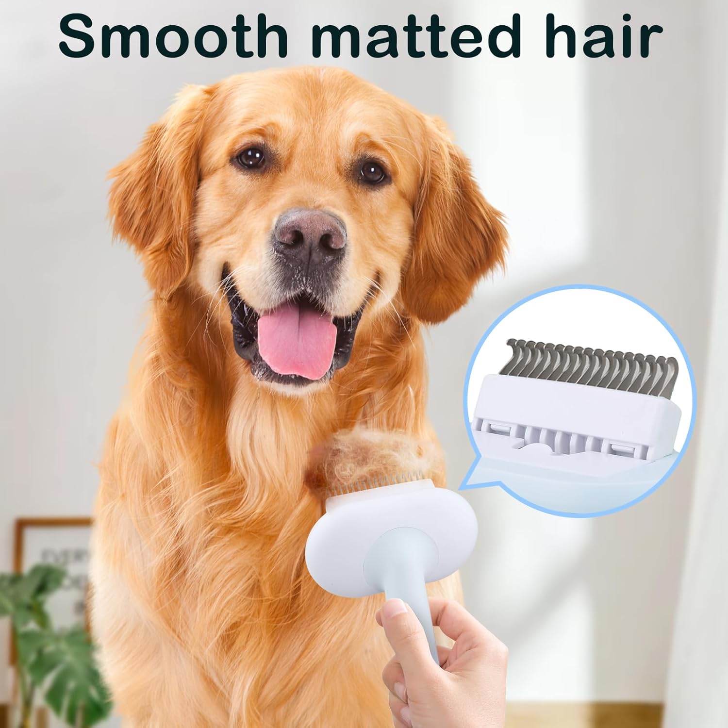 Cat Dog Brush 5 In 1 Pet Grooming Supplies Kit