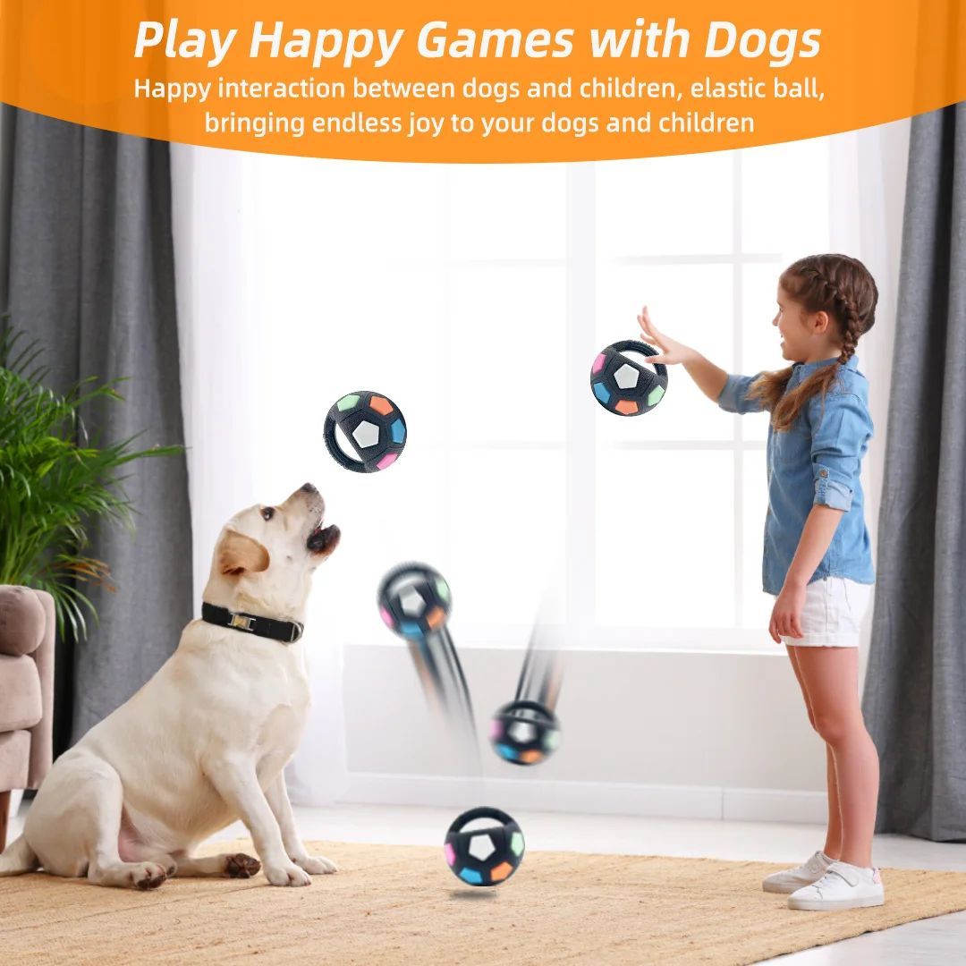 Football Tennis Ball Shaped Pet Dog Toys