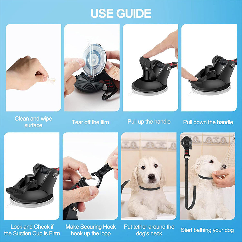 Fixed Artifact Bathing Fixed Suction Cup