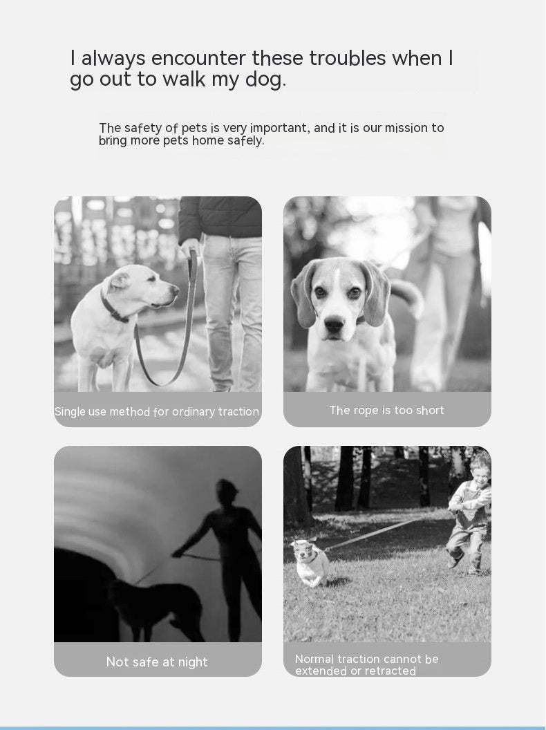 Pet Automatic Retractable Leash Luminous