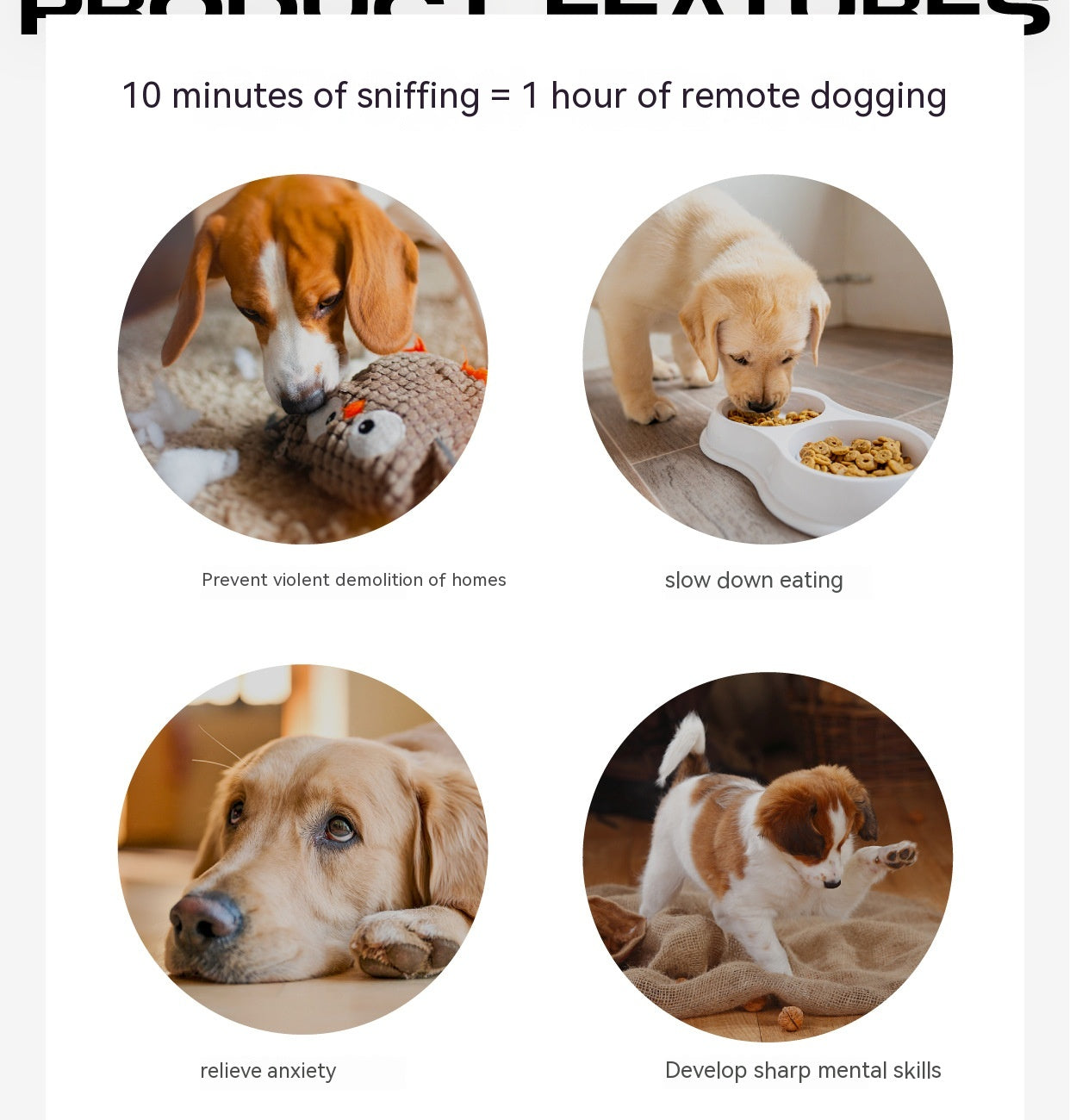 Hidden Food Consumption  Food Leakage Educational Toys