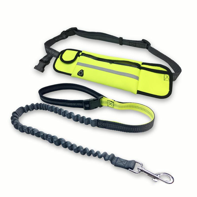 Waterproof Waist Bag Sports Running Leash