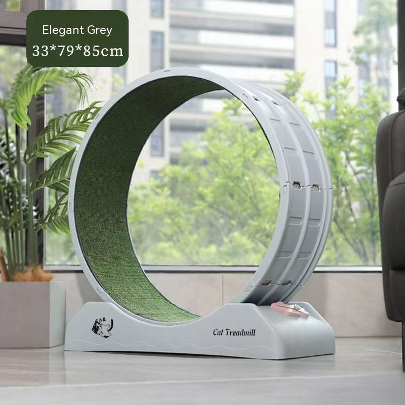 Cat Silent Roller Treadmill Exercise