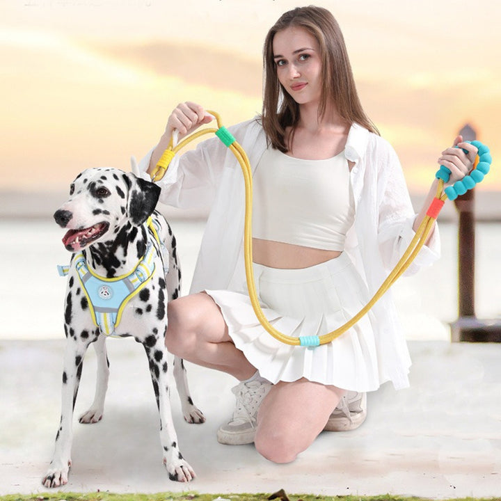 Large Dog Anti-bite Wear-resistant Leash