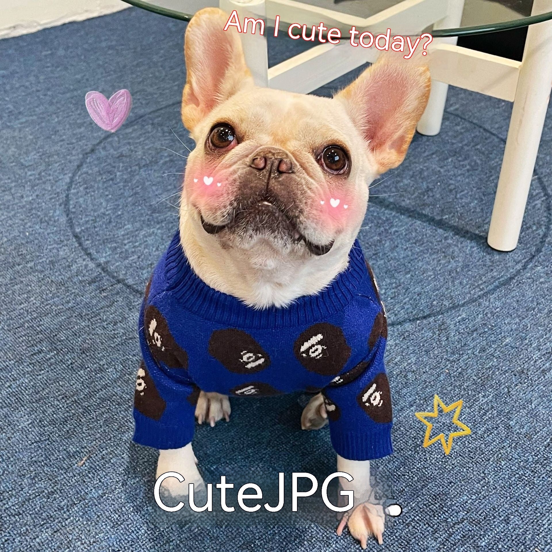 Pet Trendy Clothes Dog Cat Winter Sweater