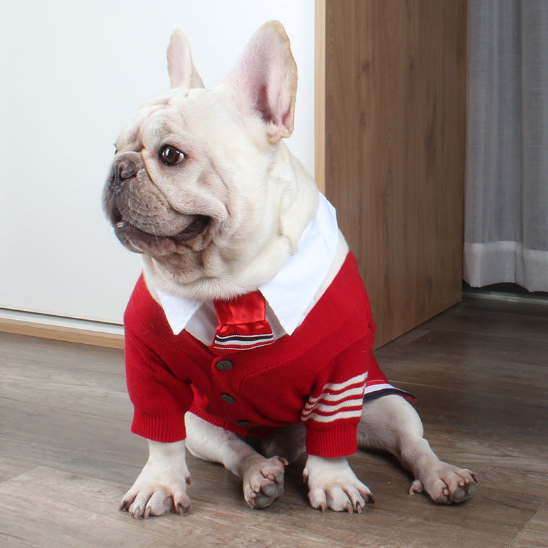 Bulldog British Bucket Corgi Cat Dog Sweater