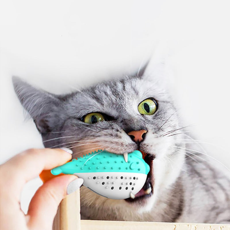 Mint Silicone Cat Chew and Teaser Toy with Toothbrush Function