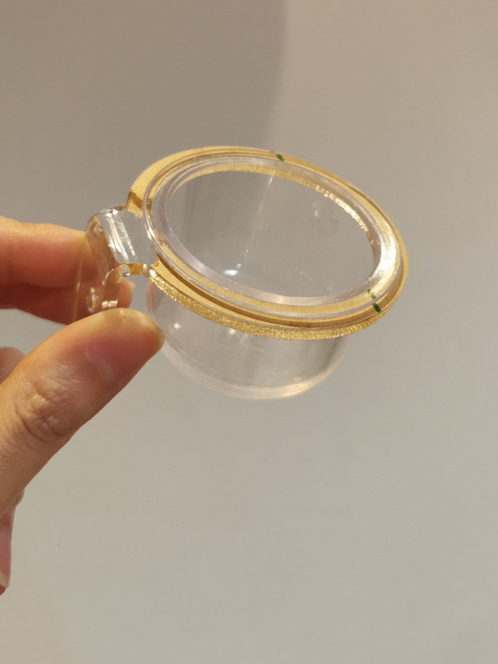 Transparent Acrylic Bird Cage for Parrots