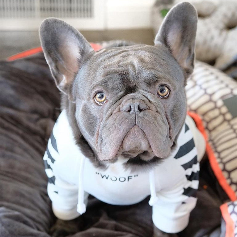 three-stripe dog sweater