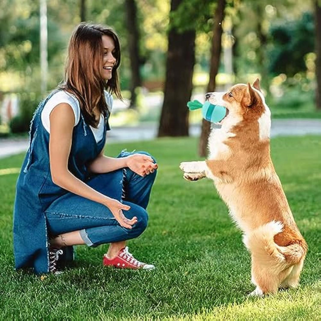 Durable Rubber Interactive Treat Dispensing Dog Puzzle Toy for Medium Large Dogs