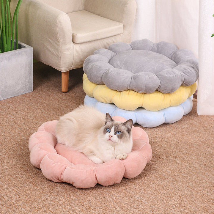 Multi Color Petal Dog And Cat Nest
