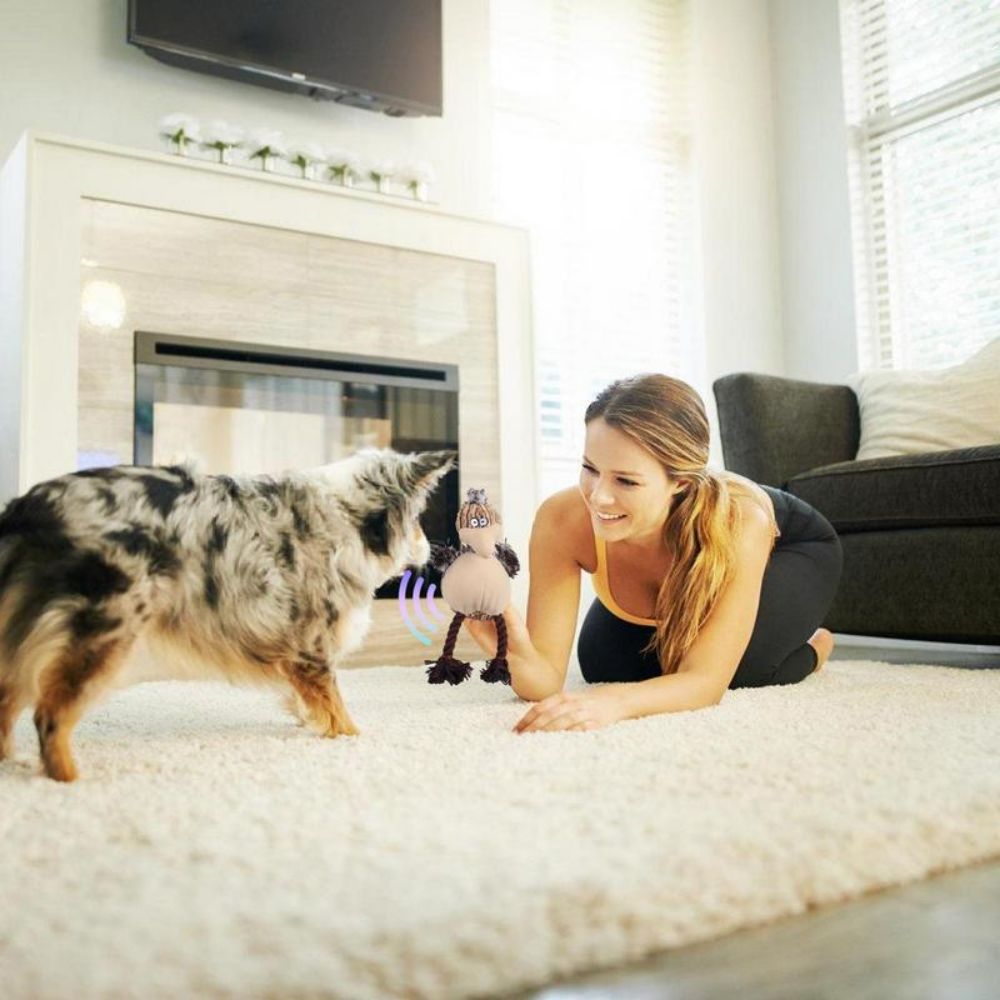Squeaky Plush Dog Toy for Aggressive Chewers and Puppies