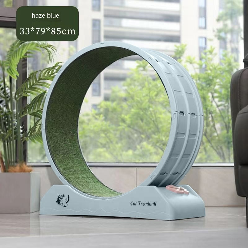 Cat Silent Roller Treadmill Exercise