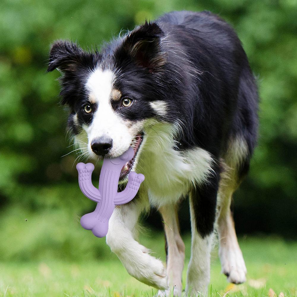 Ultra-Durable Cactus Dog Chew Toy for Interactive Play