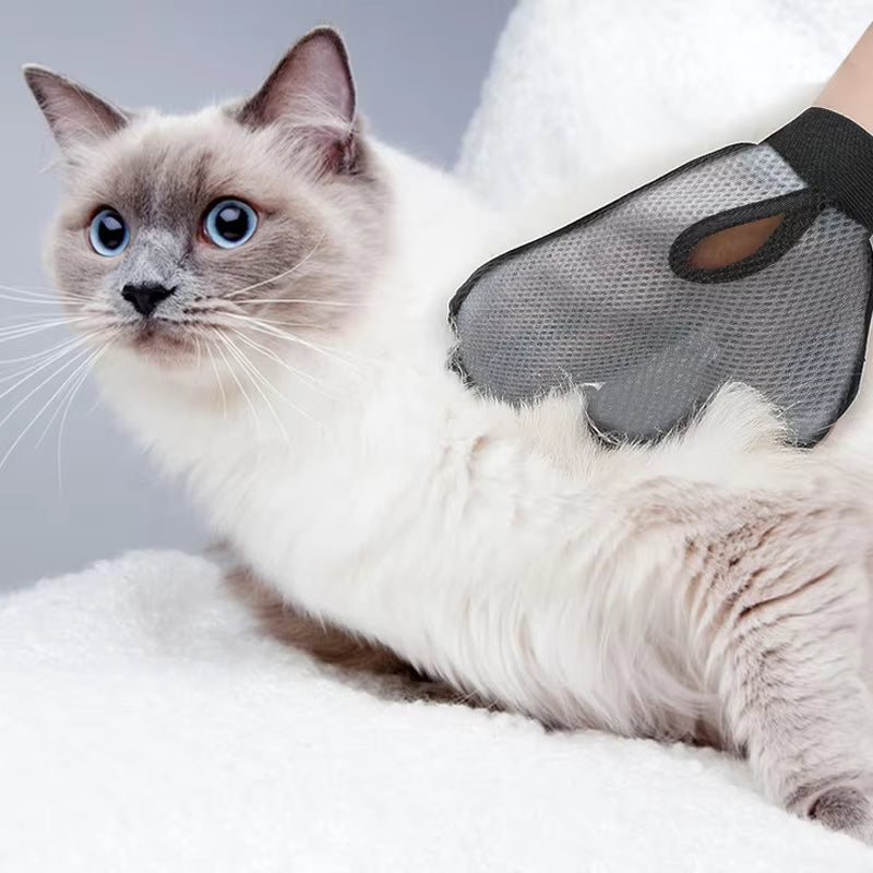 Cat Hair Removal Glove Pet Supplies