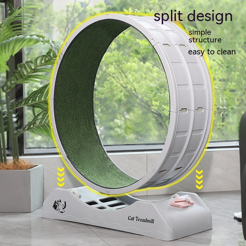 Cat Silent Roller Treadmill Exercise