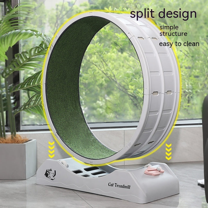 Cat Silent Roller Treadmill Exercise