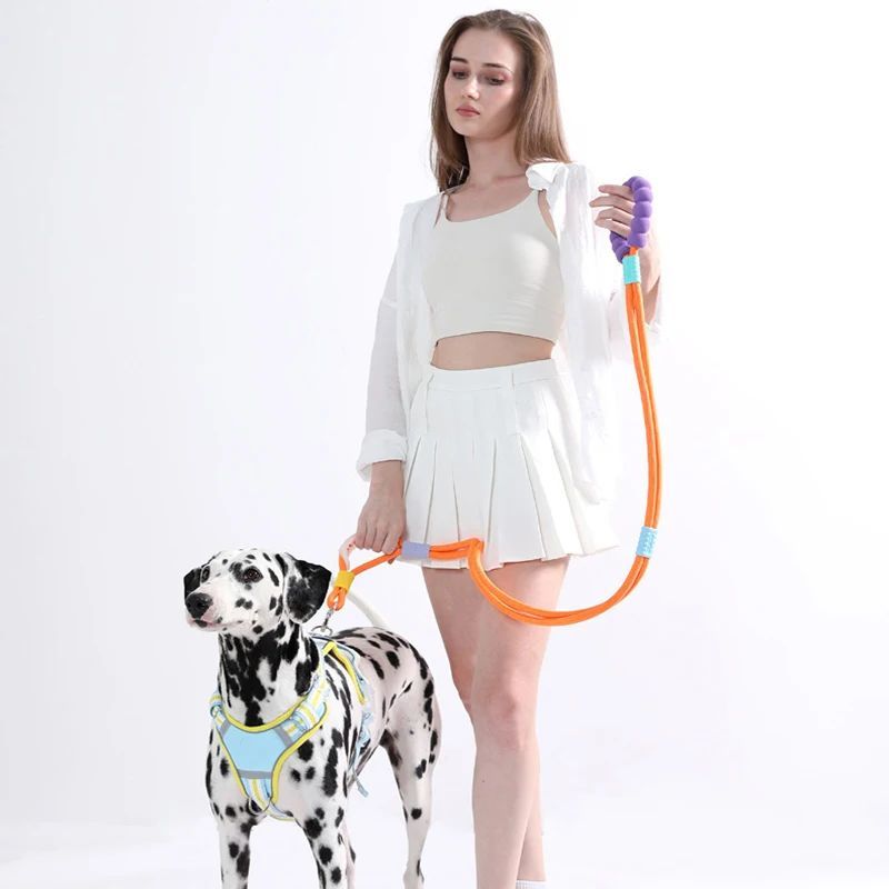 Pet Traction Leashes With A Comfortable Foam Handle