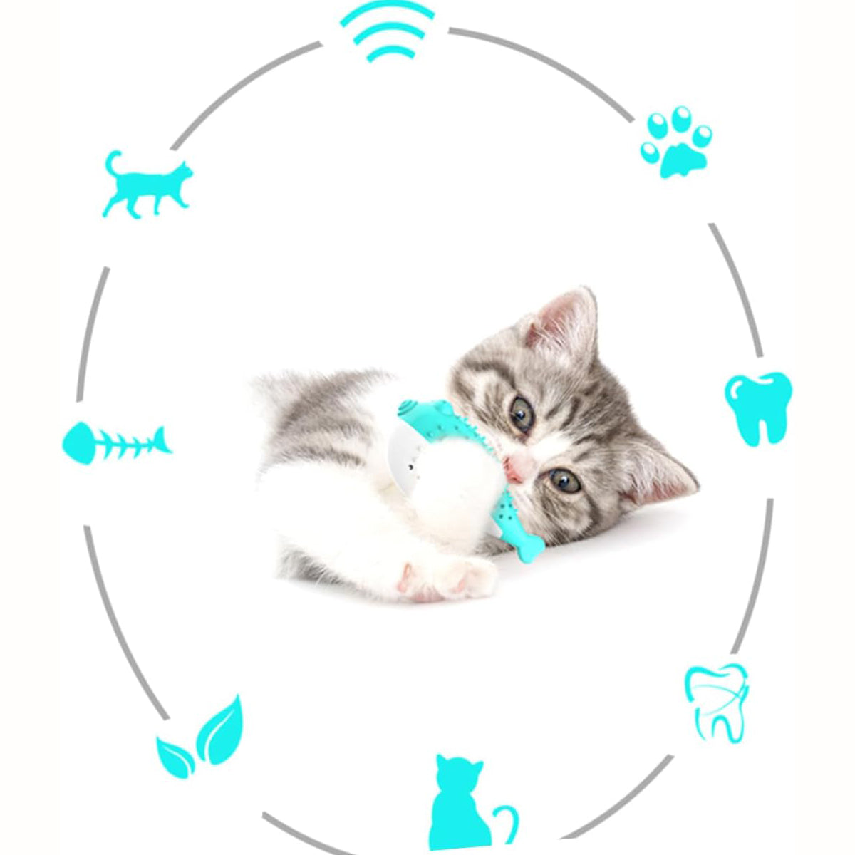 Mint Silicone Cat Chew and Teaser Toy with Toothbrush Function