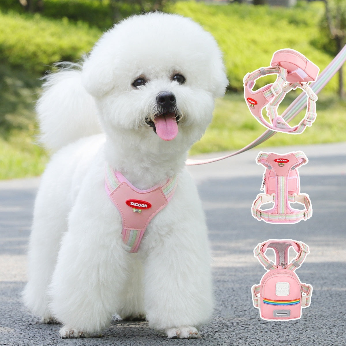 Dog Leash Hand Holding Rope