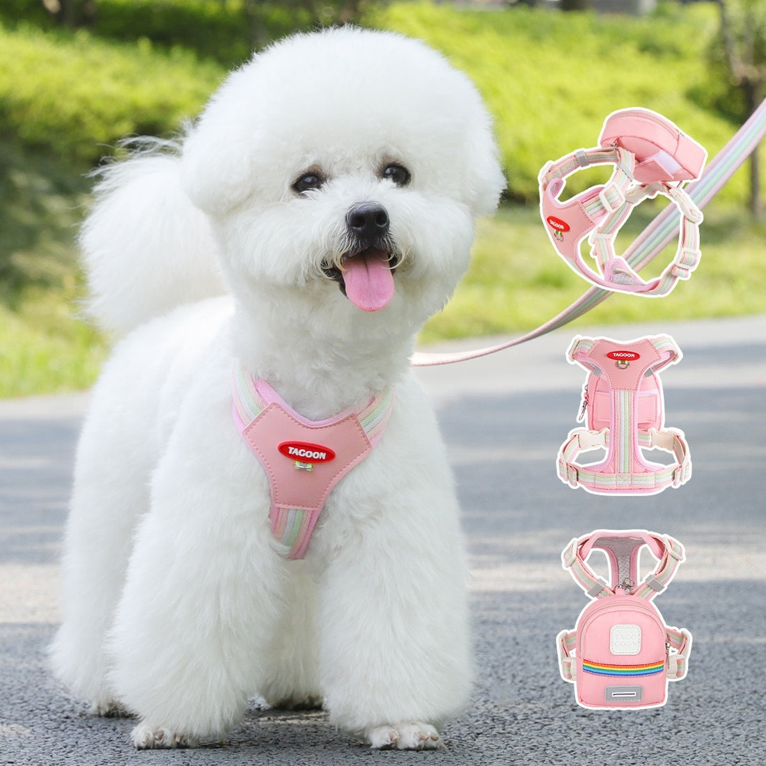 Dog Leash Hand Holding Rope