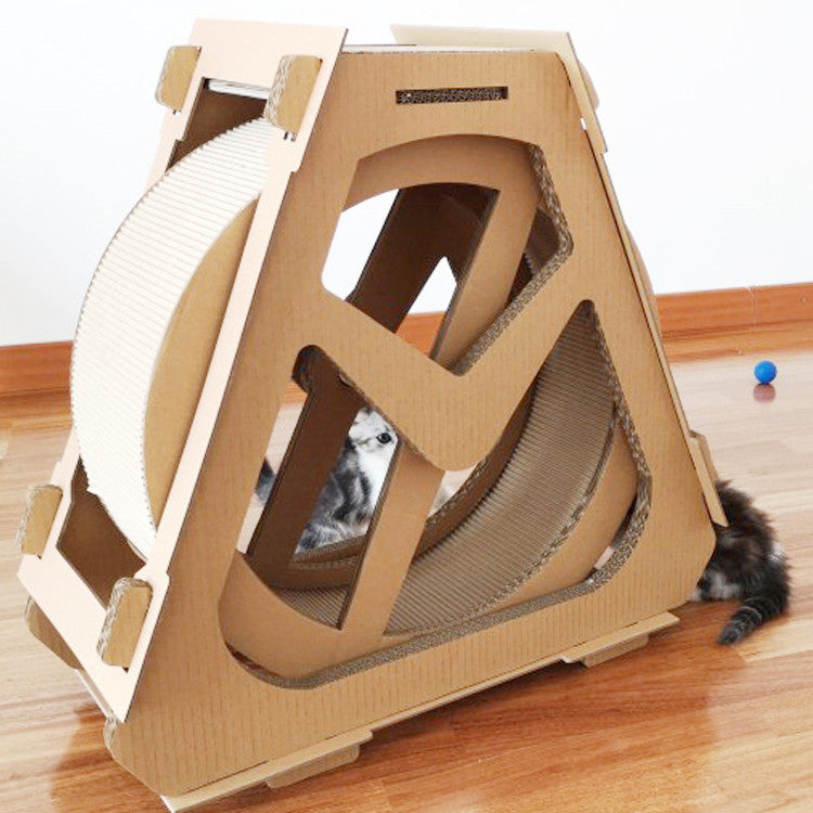 Cat With Roller Dieter Exercise Running Wheel