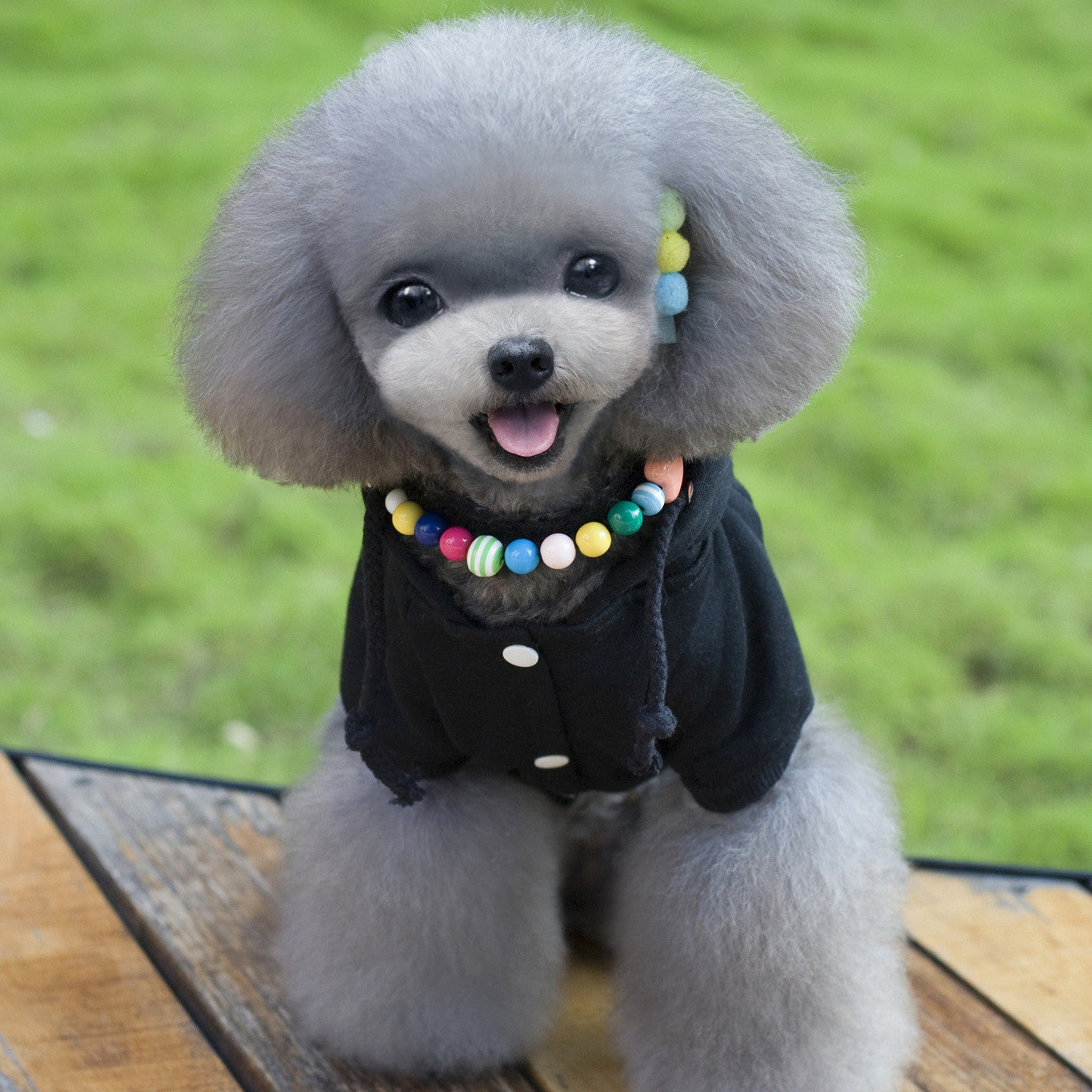Pet Clothes With Coat And Cap Hoodies