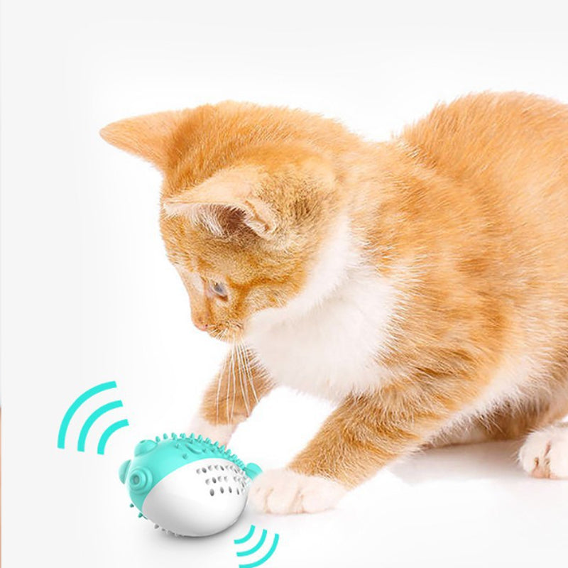 Mint Silicone Cat Chew and Teaser Toy with Toothbrush Function