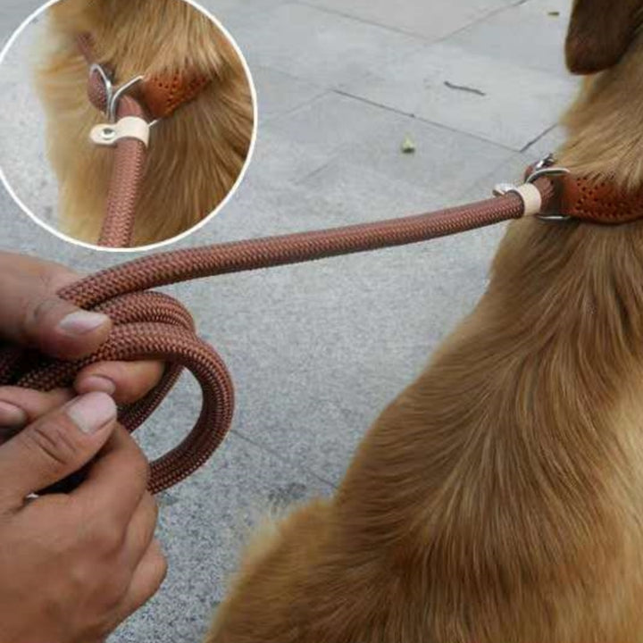 Dog Leash Hand Holding Rope