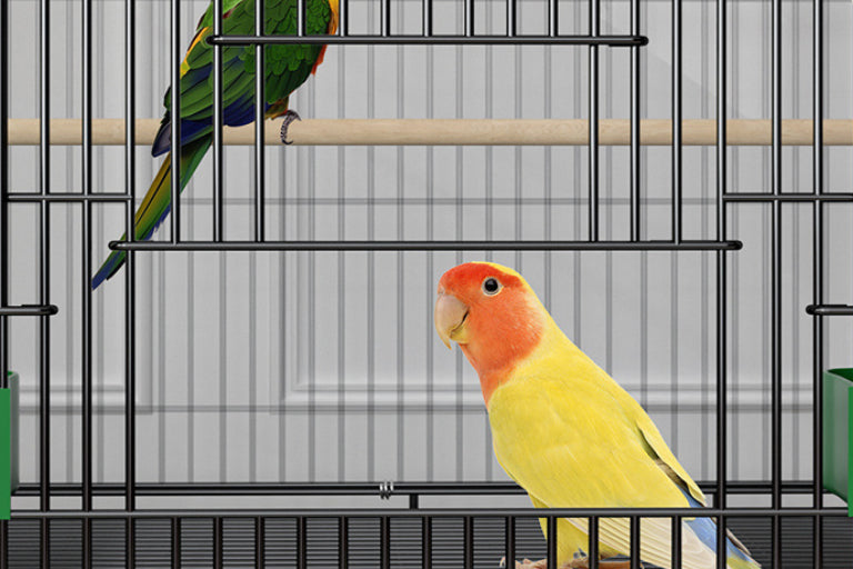 Modern Double-Layer Bird Cage for Home