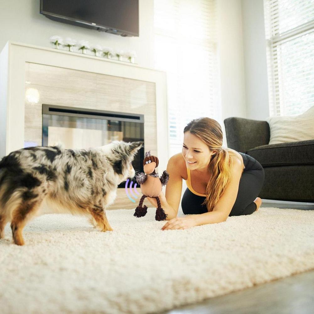 Squeaky Plush Dog Toy for Aggressive Chewers and Puppies