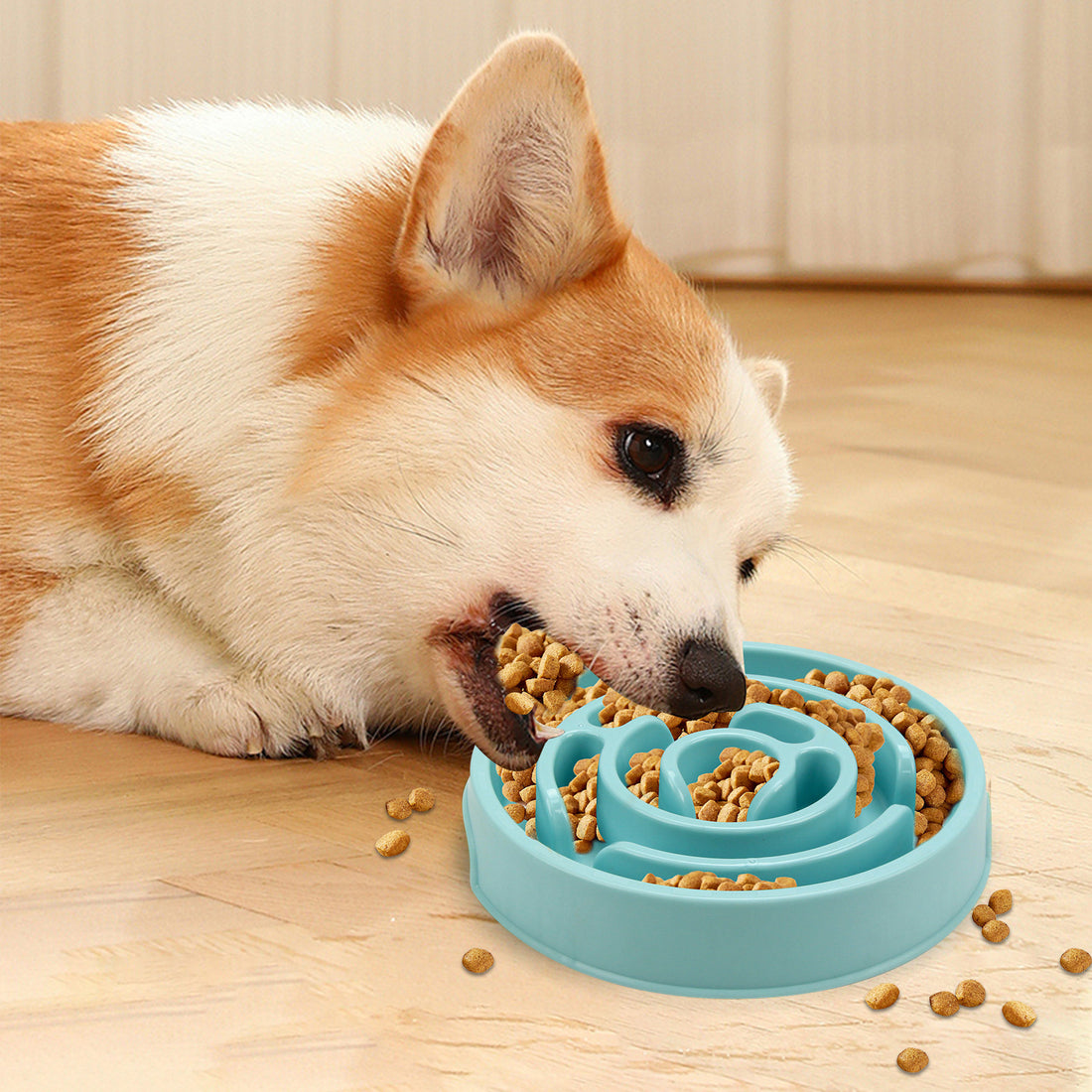 Silicone Slow Feeder Dog Bowl for Healthy Anti-Choke Eating