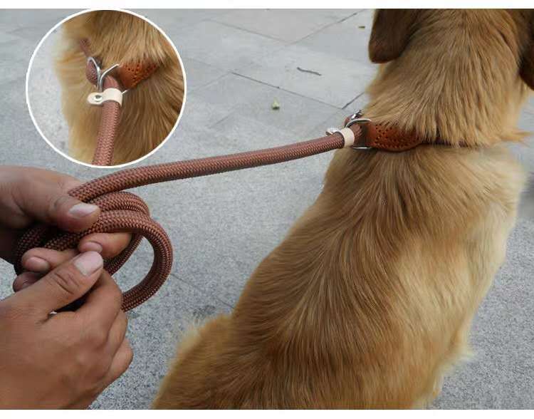 Dog Leash Hand Holding Rope