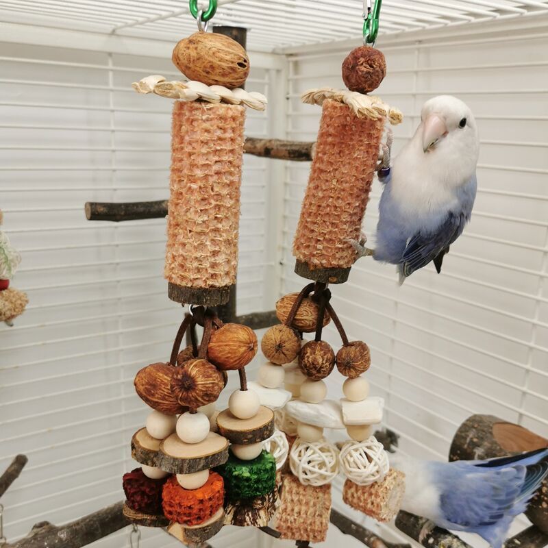 Peony Parrot Bite Toy with Cuttlebone, Corncob and Vine Ball