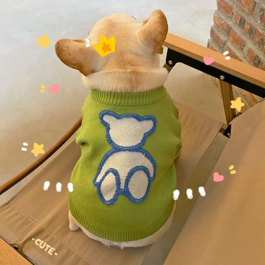 Dog Cat Puppy Fall Winter Sweater