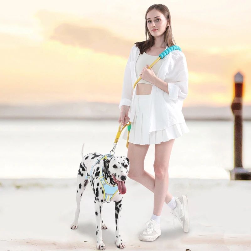 Pet Traction Leashes With A Comfortable Foam Handle