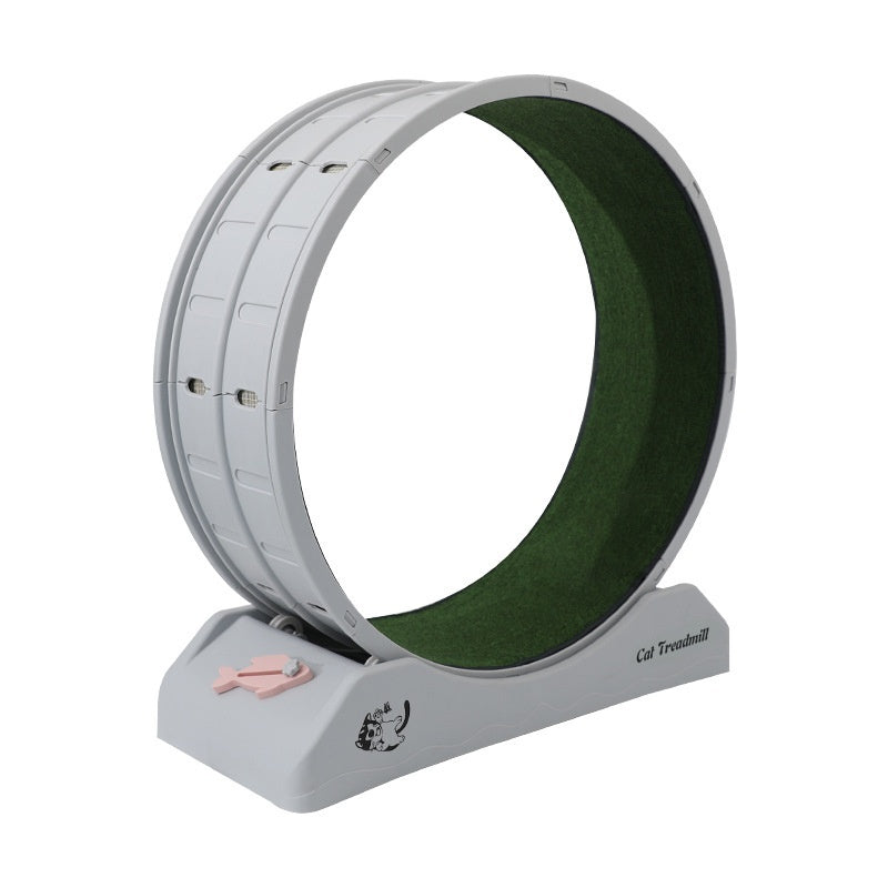 Cat Silent Roller Treadmill Exercise