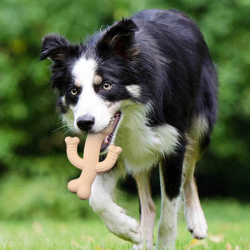 Ultra-Durable Cactus Dog Chew Toy for Interactive Play