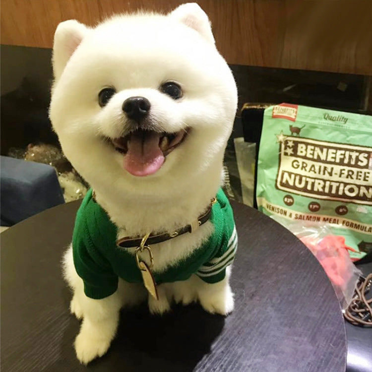 Bulldog British Bucket Corgi Cat Dog Sweater