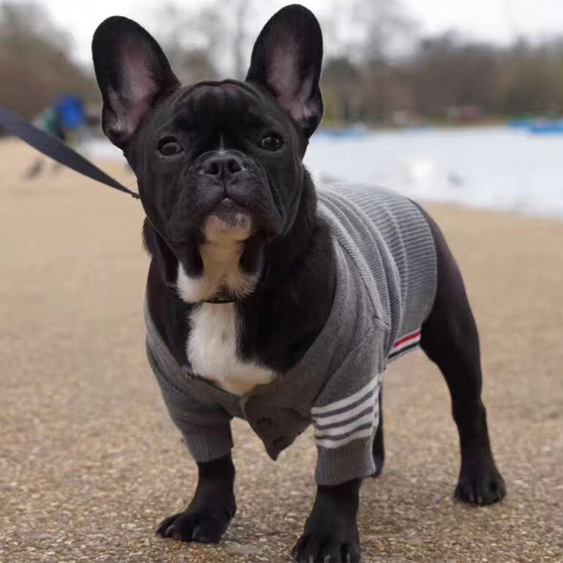 Bulldog British Bucket Corgi Cat Dog Sweater