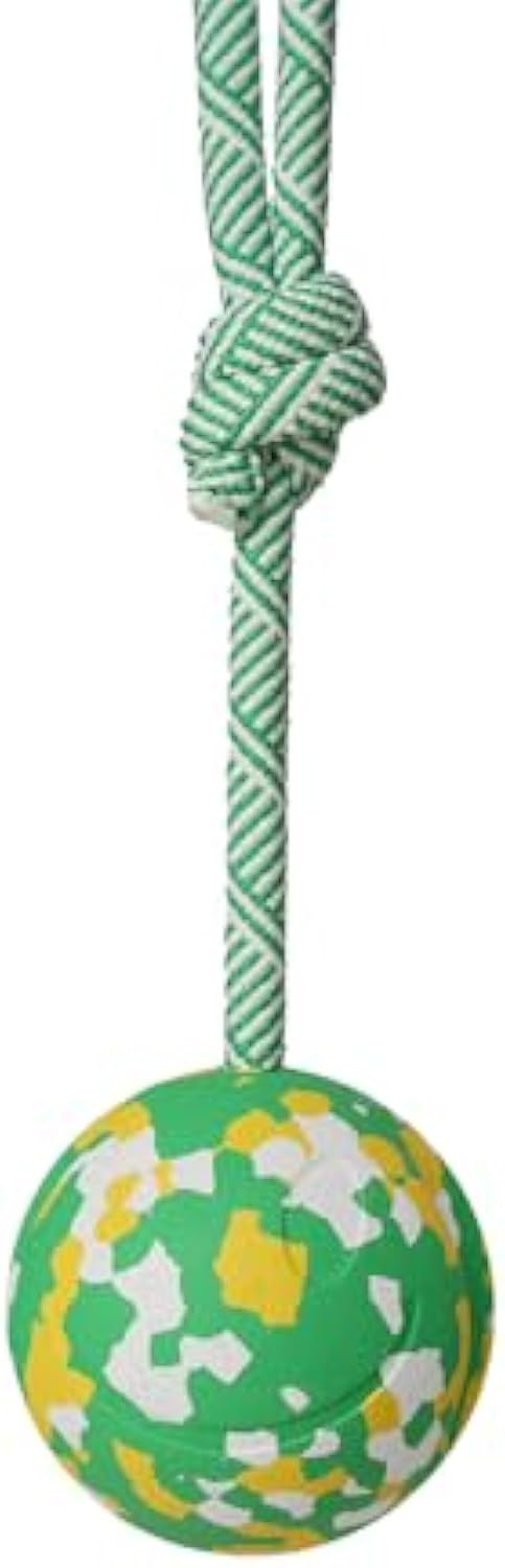 Dog Fetch Pull Tug Throw Toy Ball Toys