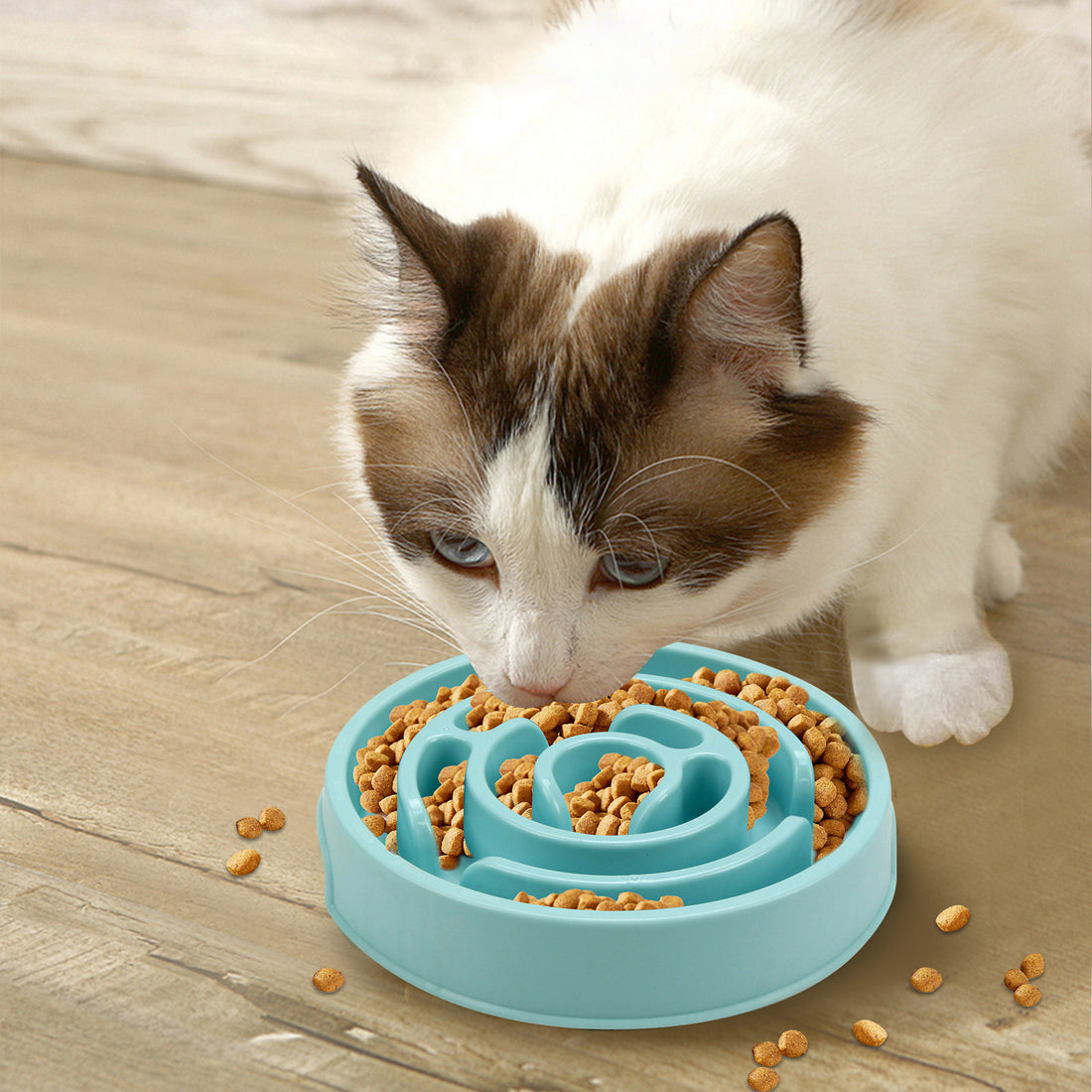 Silicone Slow Feeder Dog Bowl for Healthy Anti-Choke Eating