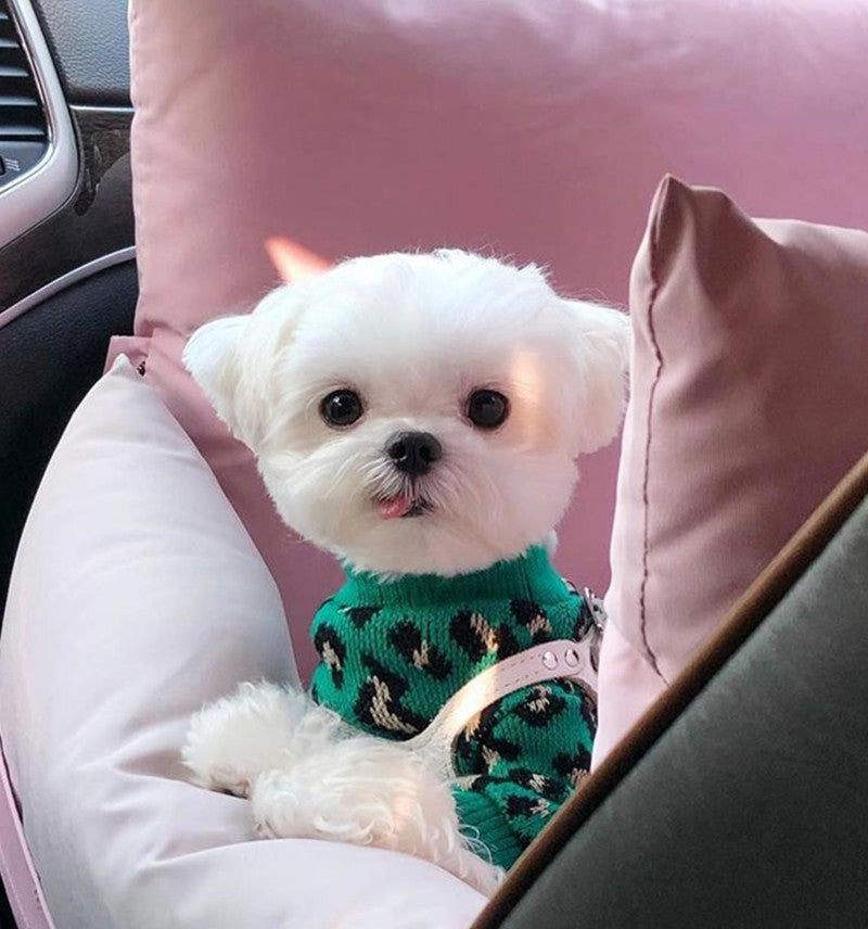 Leopard-print Sweater Small Dog