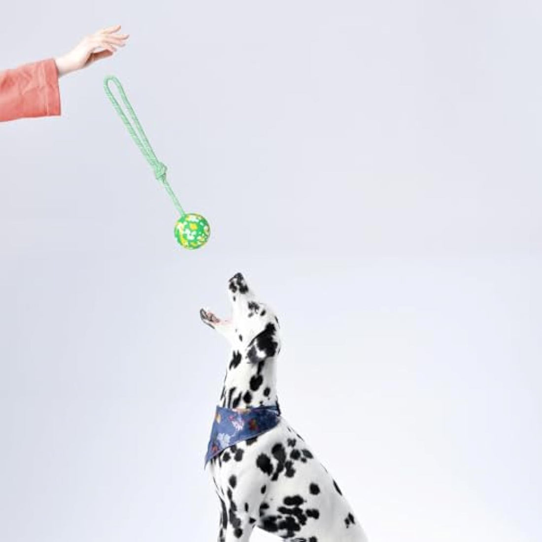 Dog Fetch Pull Tug Throw Toy Ball Toys
