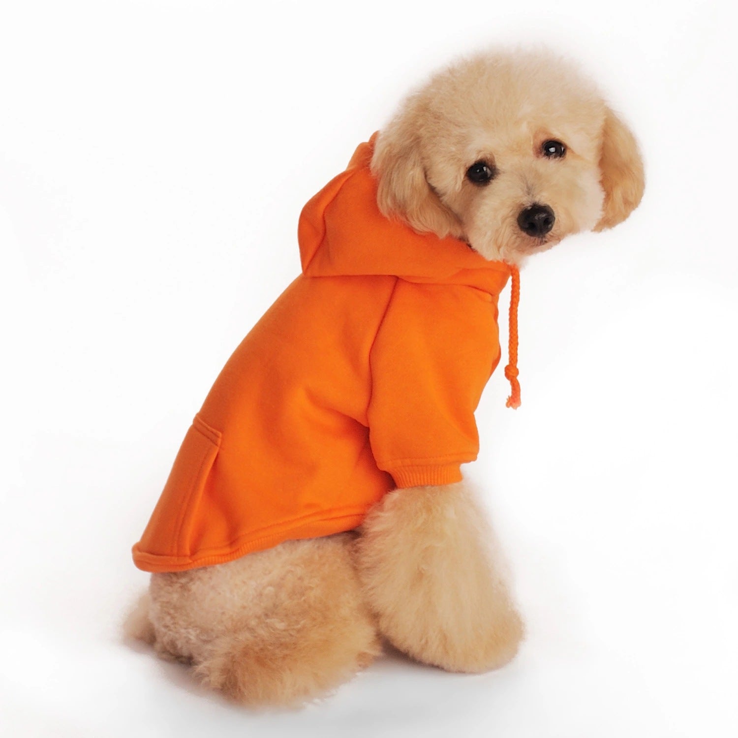 Pet Clothes With Coat And Cap Hoodies