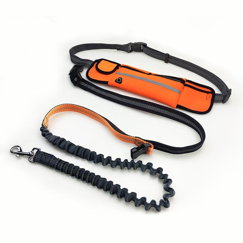 Waterproof Waist Bag Sports Running Leash