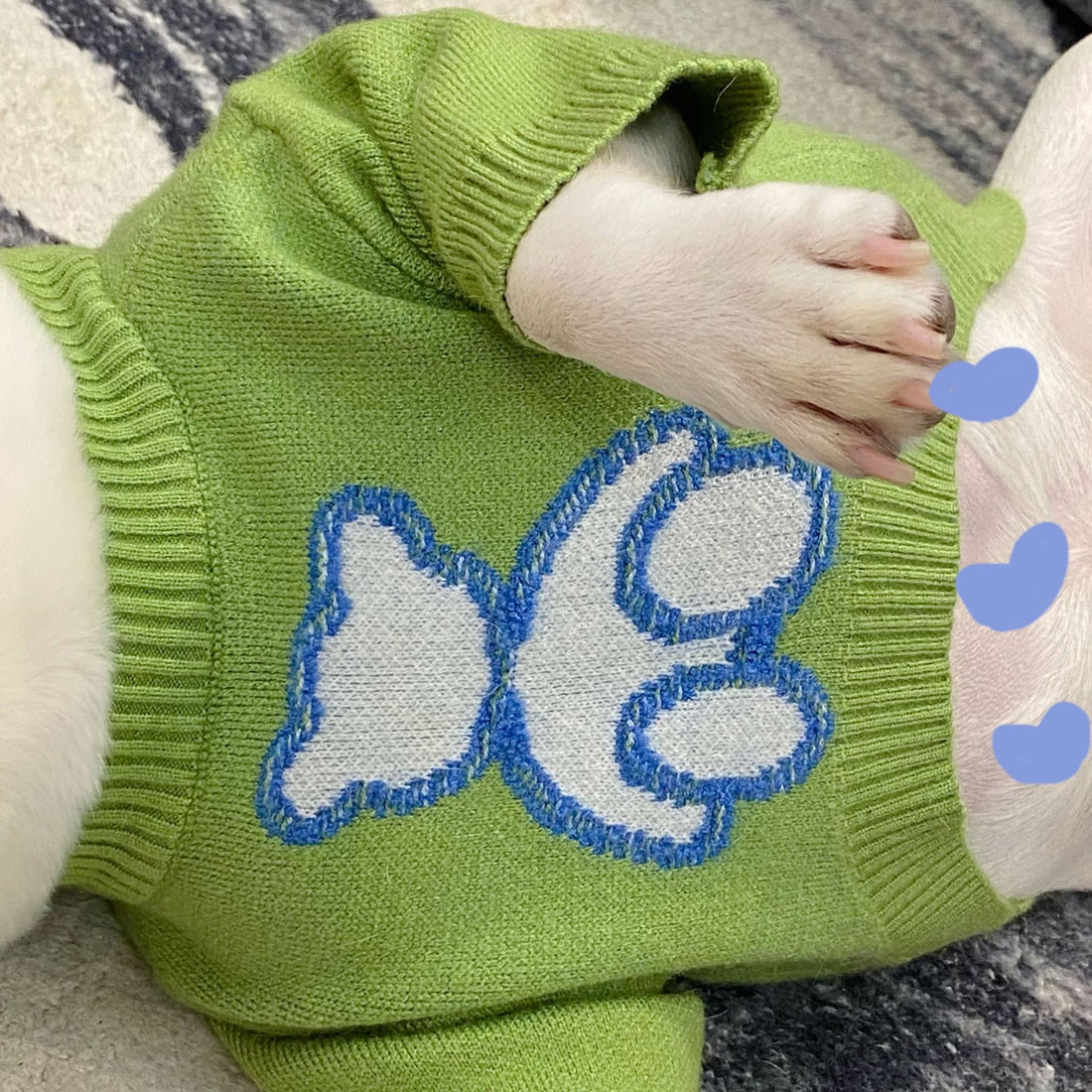 Dog Cat Puppy Fall Winter Sweater